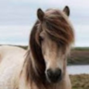 Meet your Posher, Tori